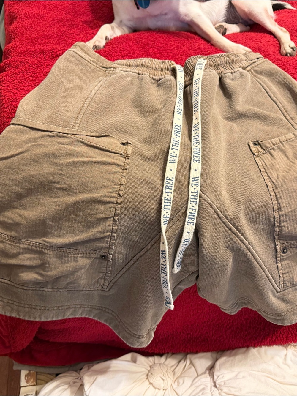 We The Free Men's Tan Drawstring Cargo Shorts